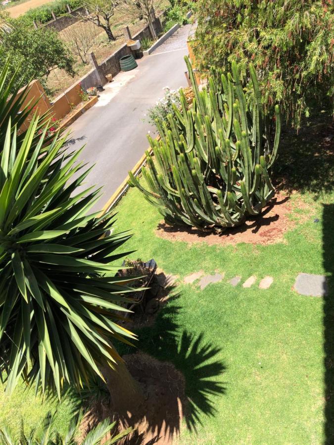 לה לגונה Apartamento En La Laguna מראה חיצוני תמונה